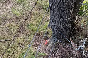 Tbd County Road 707, Kosse, TX 76653 - Photo 31