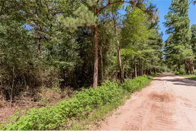 9238 Rocky Ridge Lane, Madisonville, TX 77864 - Photo 17