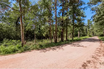 9238 Rocky Ridge Lane, Madisonville, TX 77864 - Photo 3