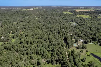 9238 Rocky Ridge Lane, Madisonville, TX 77864 - Photo 21