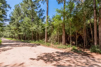 9238 Rocky Ridge Lane, Madisonville, TX 77864 - Photo 15