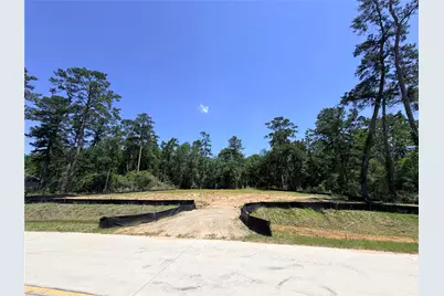 352 Louvenia Court, Pinehurst, TX 77362 - Photo 3