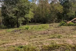 15577 E Relza Dr, Splendora, TX 77372 - Photo 17