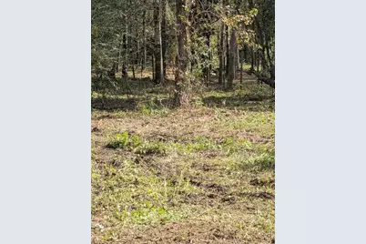 15577 E Relza Drive, Splendora, TX 77372 - Photo 11