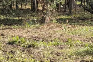 15577 E Relza Dr, Splendora, TX 77372 - Photo 11