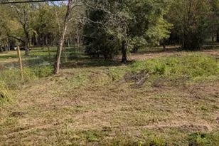 15577 E Relza Dr, Splendora, TX 77372 - Photo 13