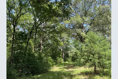 11 Ac Pr 2205, Buffalo, TX 75831 - Photo 5