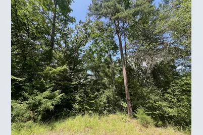 11 Ac Pr 2205, Buffalo, TX 75831 - Photo 9