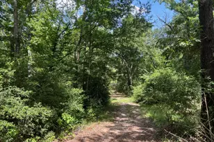 11 Ac Pr 2205, Buffalo, TX 75831 - Photo 1