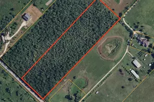 001 Fm 1875 Rd, Beasley, TX 77417 - Photo 1