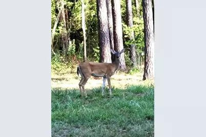 14468 Ehler Lane, Montgomery, TX 77356 - Photo 19