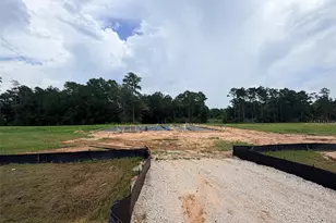 230 Gonsoulin Ln, Pinehurst, TX 77362 - Photo 9