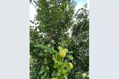 20559 Iron Seat Drive, Hockley, TX 77447 - Photo 35