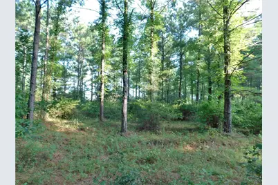 11914 Browder Traylor Road, Conroe, TX 77303 - Photo 3