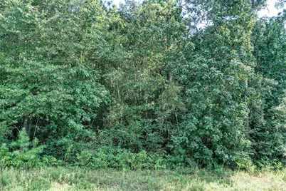 Tbd, Lot 98 Red Hawk Road, Huntsville, TX 77340 - Photo 5