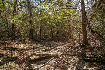 11107 Mt Falls School Road, Washington, TX 77880 - Photo 33