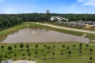 15347 Abella Dr, Montgomery, TX 77316 - Photo 3