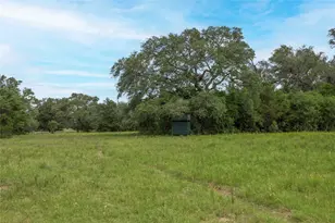 Tbd Cr 212 - Tract 6, Hallettsville, TX 77964 - Photo 3