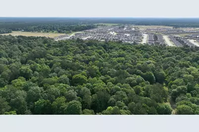 Tbd White Oak Dr, Conroe, TX 77306 - Photo 5