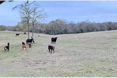 3713 County Road 386, Marquez, TX 77865 - Photo 13