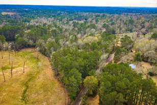 4826 Old Israel Rd, Livingston, TX 77351 - Photo 11