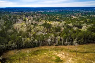 4826 Old Israel Rd, Livingston, TX 77351 - Photo 5