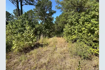 1034 Lloyd Bell Road, Trinity, TX 75862 - Photo 11