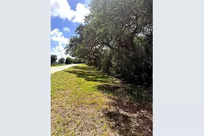0 Fm 2853 Perry Reed Pybus Pasture, Blessing, TX 77465 - Photo 5