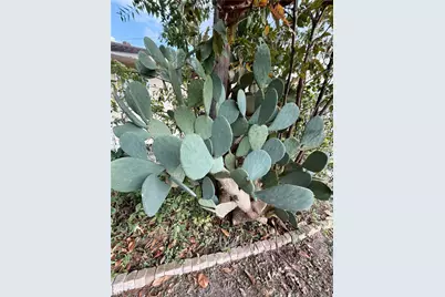 7007 Avenue F, Houston, TX 77011 - Photo 43