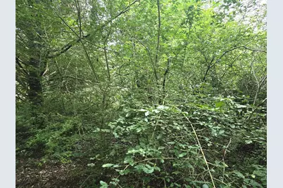 1069 Conestoga Trail, Livingston, TX 77351 - Photo 5