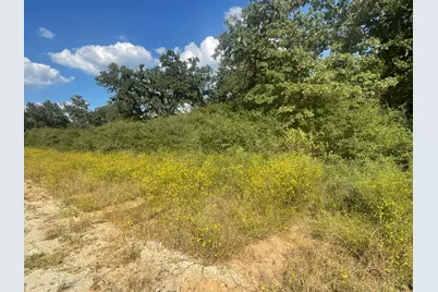 31 Ranch Road Drive, Normangee, TX 77871 - Photo 5