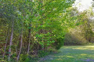 Tbd Borger, Livingston, TX 77351 - Photo 1