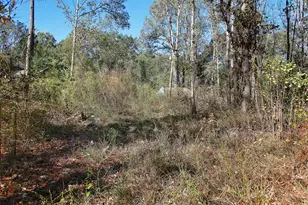 18533 Fm 1485 Rd, New Caney, TX 77357 - Photo 25