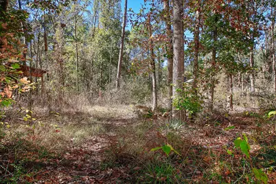 18533 Fm 1485 Road, New Caney, TX 77357 - Photo 23