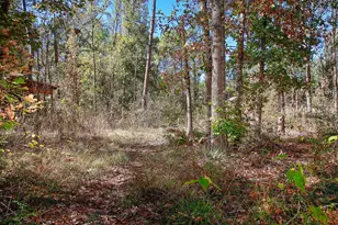 18533 Fm 1485 Rd, New Caney, TX 77357 - Photo 23