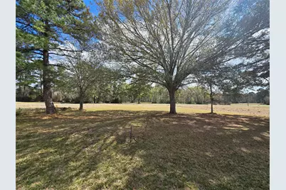 Tbd New Orleans Avenue, Trinity, TX 75862 - Photo 3