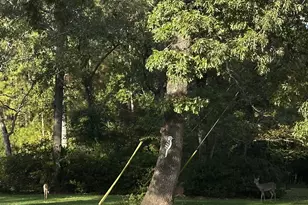 22219 Rainfern Dr, Magnolia, TX 77355 - Photo 29