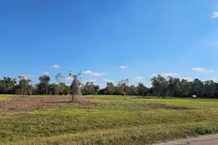 16411 Wrangler Rd, Rosharon, TX 77583 - Photo 1