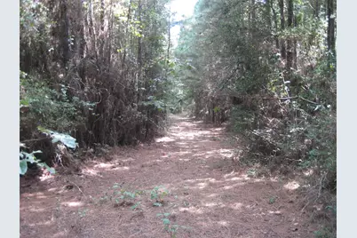 00 State Hwy 21 East, Crockett, TX 75835 - Photo 5