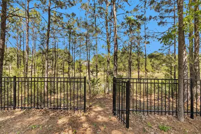11601 Kirstens Ct Drive, Montgomery, TX 77316 - Photo 43