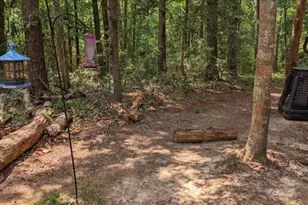 181 Sally Mayes Dr, Livingston, TX 77351 - Photo 7