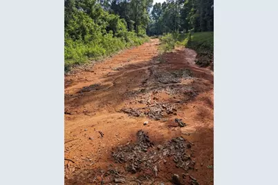 181 Sally Mayes Drive, Livingston, TX 77351 - Photo 5