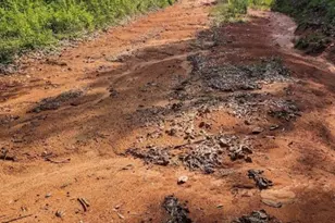 181 Sally Mayes Dr, Livingston, TX 77351 - Photo 5