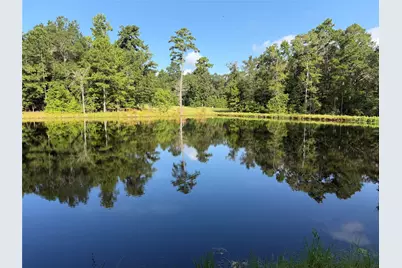 450 Horace Bonds Road, Livingston, TX 77351 - Photo 9