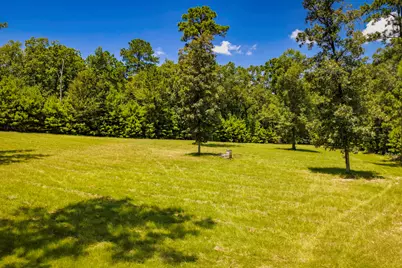 450 Horace Bonds Road, Livingston, TX 77351 - Photo 11