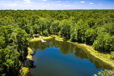 450 Horace Bonds Road, Livingston, TX 77351 - Photo 7