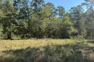 Tbd Shadowood 2 Ln, Coldspring, TX 77331 - Photo 1