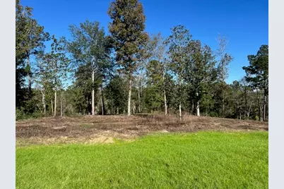 Tbd Lot 27 Addison Rd, Livingston, TX 77351 - Photo 3