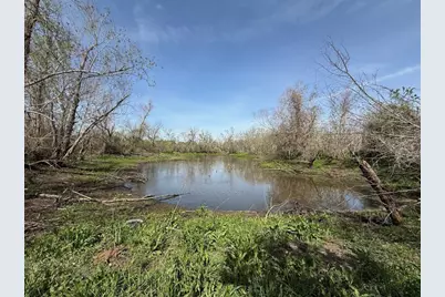 0 County Road 613, Angleton, TX 77515 - Photo 1