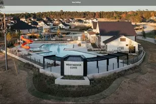 12331 Ridge Top Ct, Conroe, TX 77304 - Photo 25
